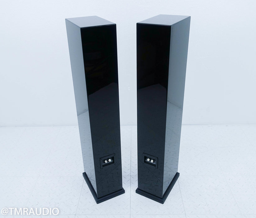 Pinnacle Black Diamond BD 1000 Floorstanding Speakers