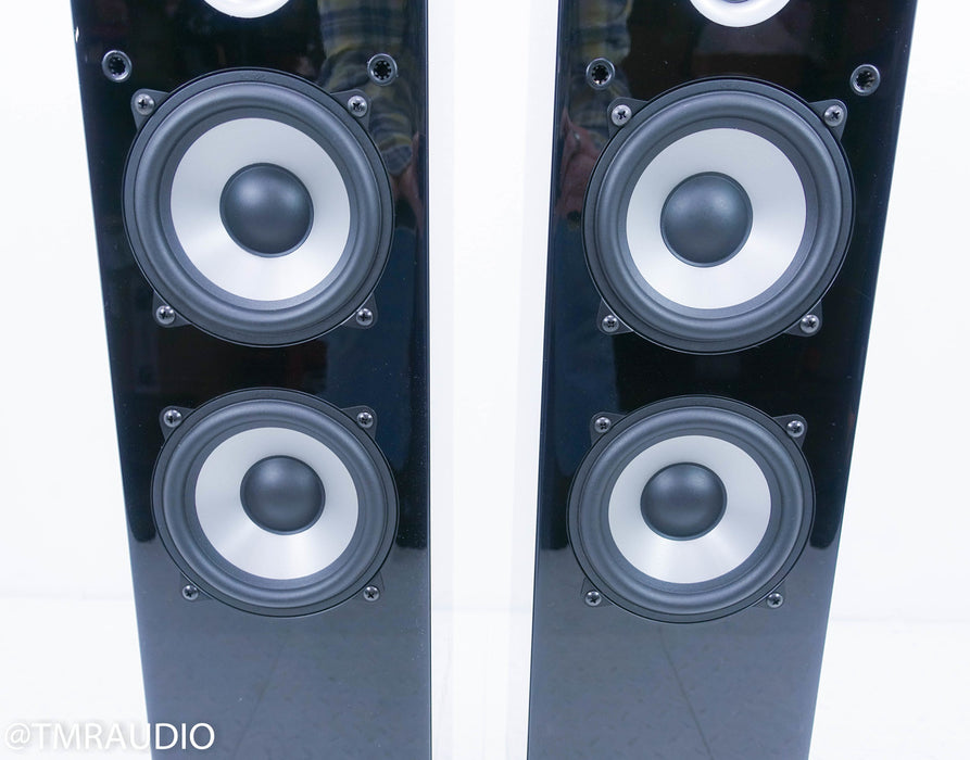 Pinnacle Black Diamond BD 1000 Floorstanding Speakers