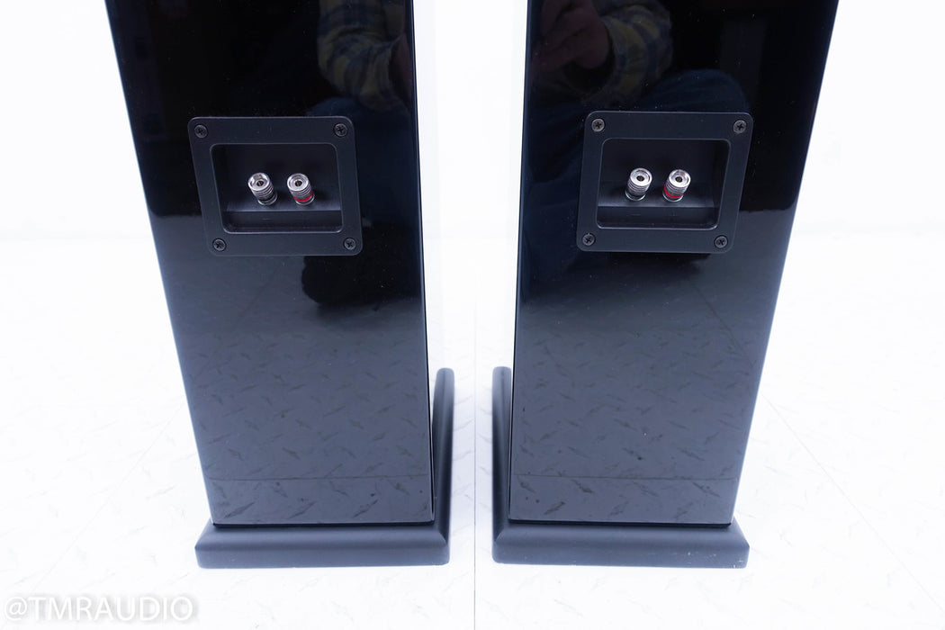Pinnacle Black Diamond BD 1000 Floorstanding Speakers