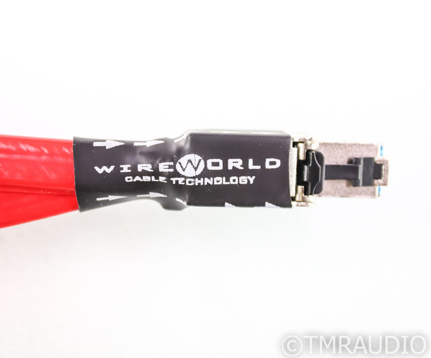 Wireworld Starlight CAT8 Ethernet Cable; Category-8; Single .5m Interconnect