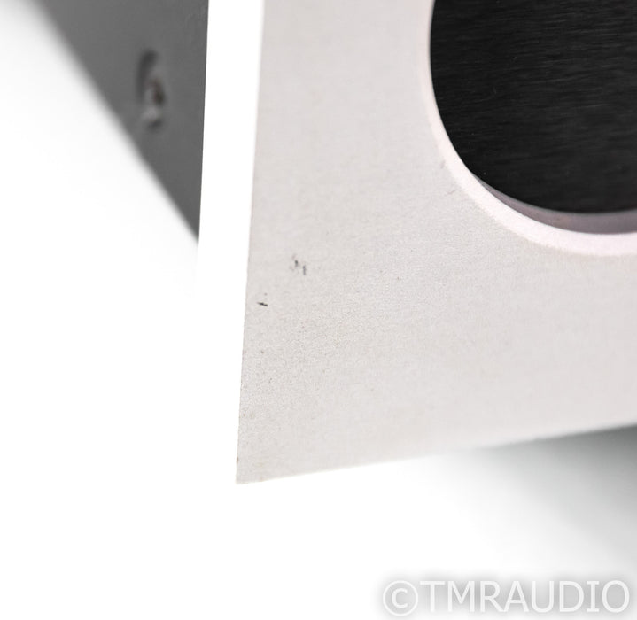 Bel Canto e.One Ref 1000 Mono Power Amplifier
