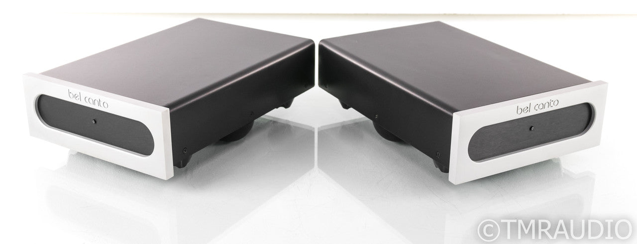 Bel Canto e.One Ref 1000 Mono Power Amplifier