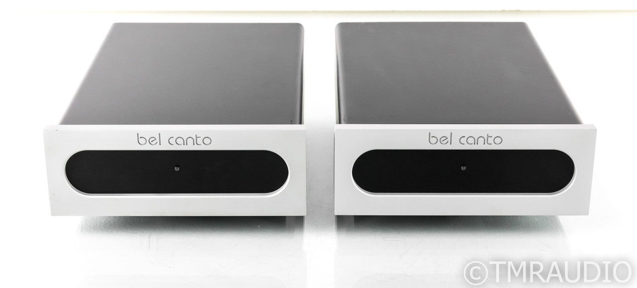 Bel Canto e.One Ref 1000 Mono Power Amplifier