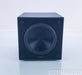 James Loudspeaker EMB-1000 10" Powereed Subwoofer