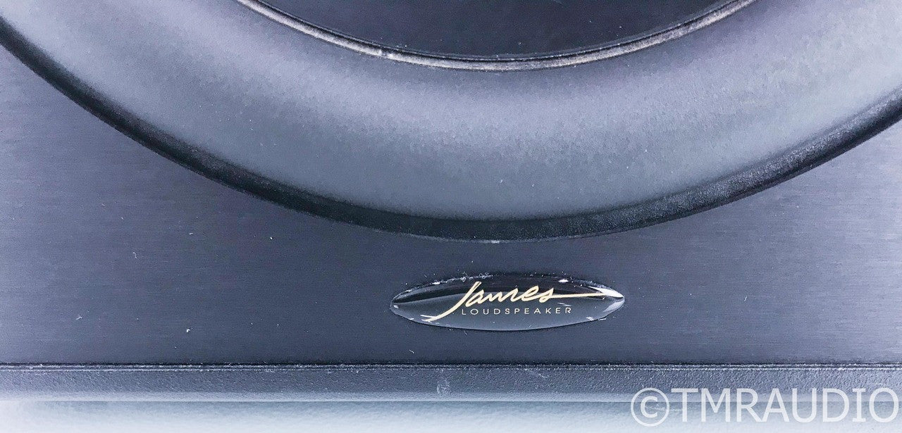 James Loudspeaker EMB-1000 10" Powereed Subwoofer