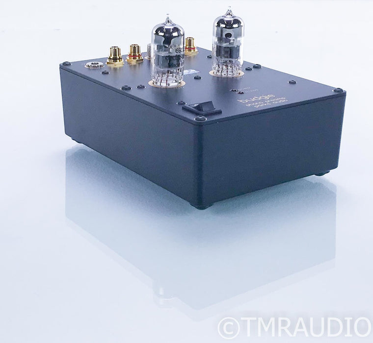 Parks Audio Budgie MM Tube Phono Preamplifier; Moving Magnet; Low Hours