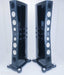 Raidho C4.1 Floorstanding Speakers