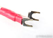 Synergistic Research Resolution Reference X Series Speaker Cables; 12ft Pair