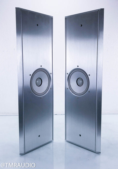 Thiel ViewPoint Flat-Panel Wall Mount Speakers