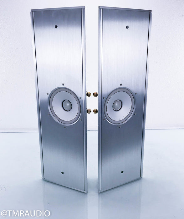 Thiel ViewPoint Flat-Panel Wall Mount Speakers