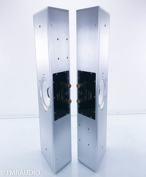 Thiel ViewPoint Flat-Panel Wall Mount Speakers