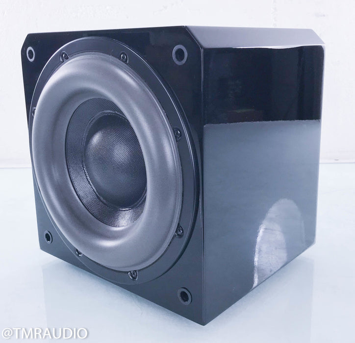 Sunfire HRS-10 10" Powered Subwoofer