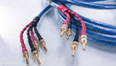 Straightwire Rhapsody S Bi-Wire Speaker Cables