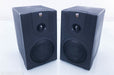 NHT Pro M-00 Powered Bookshelf Speakers
