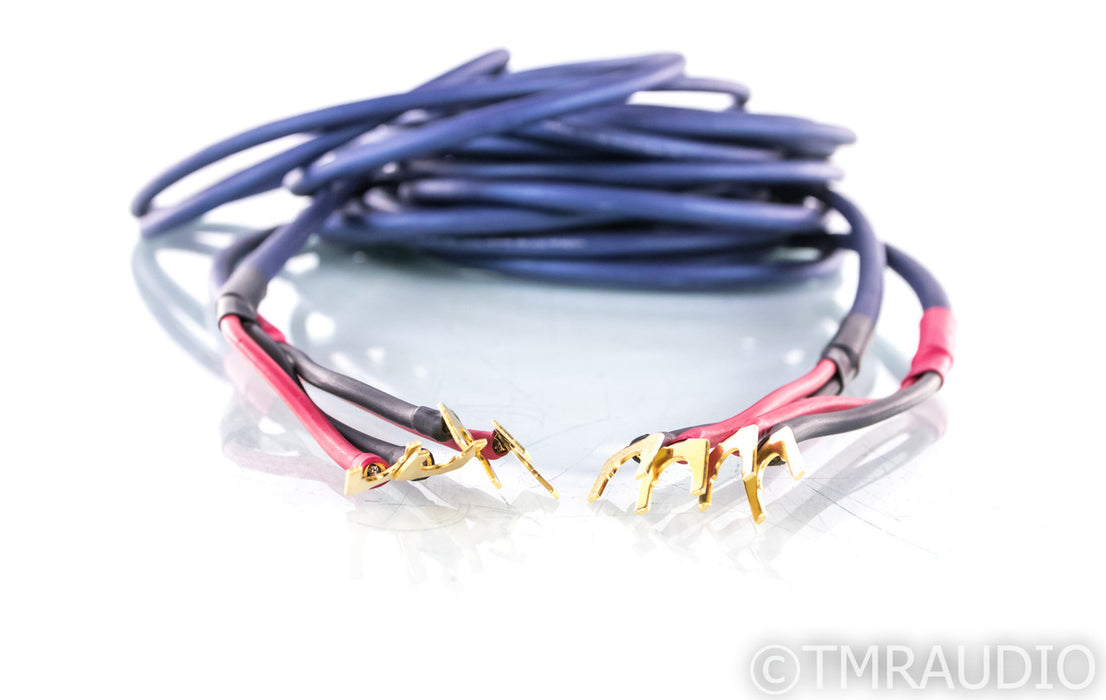 Audio Art SC-5 Speaker Cables; SC5; 20ft Pair