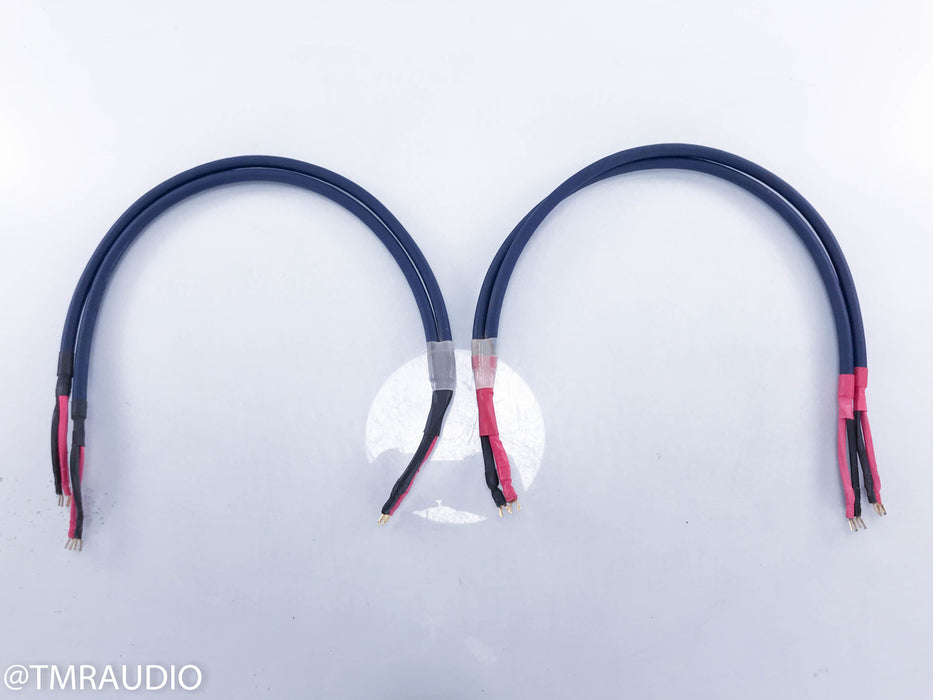 AudioQuest Cobalt Hyperlitz Bi-Wire Speaker Cables