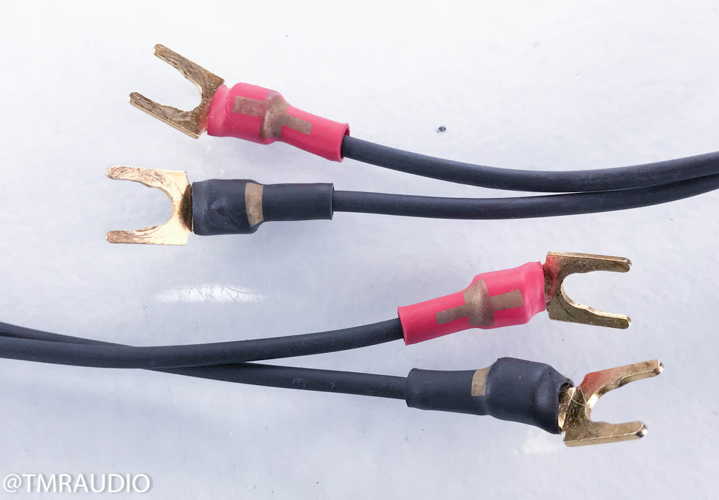 Synergistic Research Galileo Basik Speaker Cables