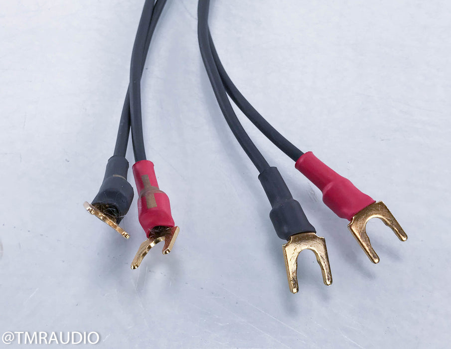 Synergistic Research Galileo Basik Speaker Cables