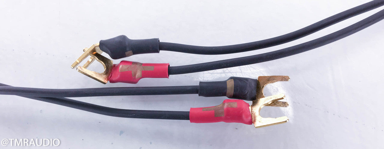 Synergistic Research Galileo Basik Speaker Cables