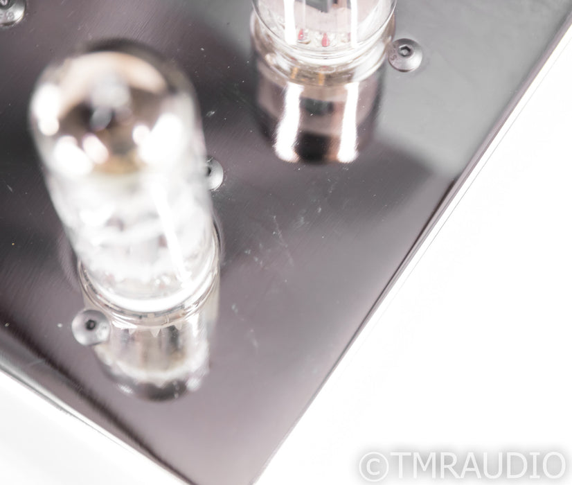 Quicksilver Audio Silver 88 Mono Tube Power Amplifier