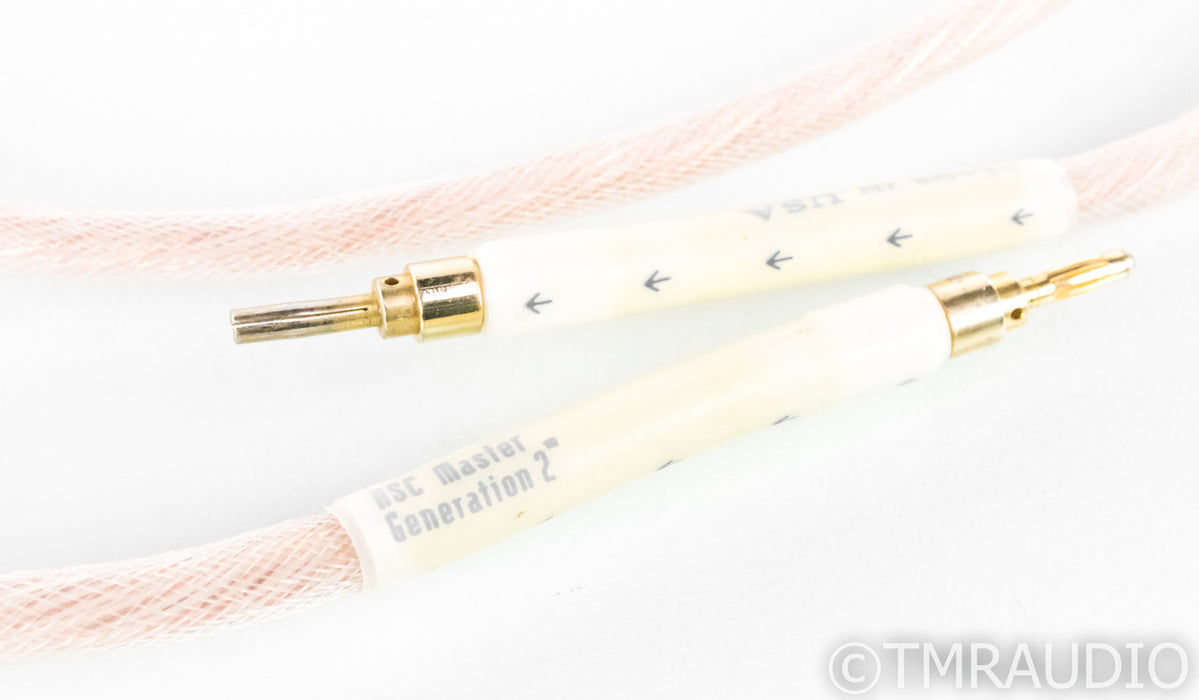 Tara Labs RSC Master Generation 2 Speaker Cable; Single 8ft Cable