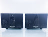 Spread Spectrum Technologies Ampzilla 2000 2nd Edition Mono Amplifier