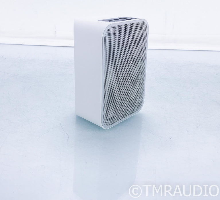 Bluesound Pulse Flex Wireless Bluetooth / Network Speaker; Streamer