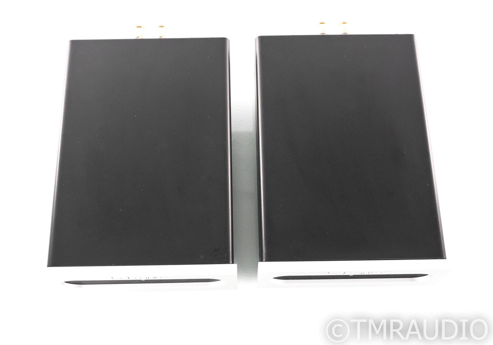 Bel Canto e.One Ref 1000 Mono Power Amplifier