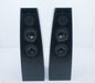 Meridian DSP5200 Powered Digital Floorstanding Speakers