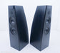 Meridian DSP5200 Powered Digital Floorstanding Speakers