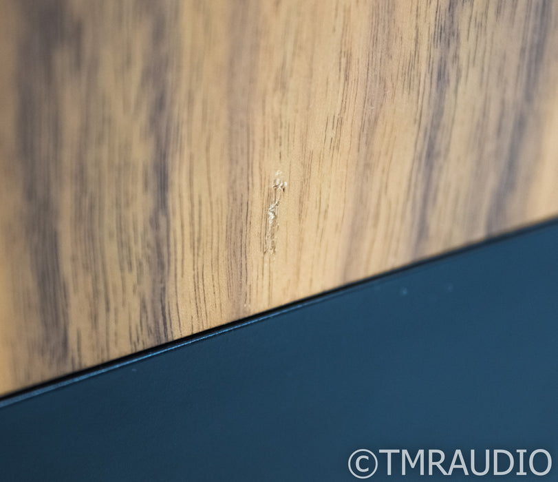 Living Voice Avatar II Floorstanding Speakers