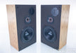 Infinity RSb Vintage Speakers