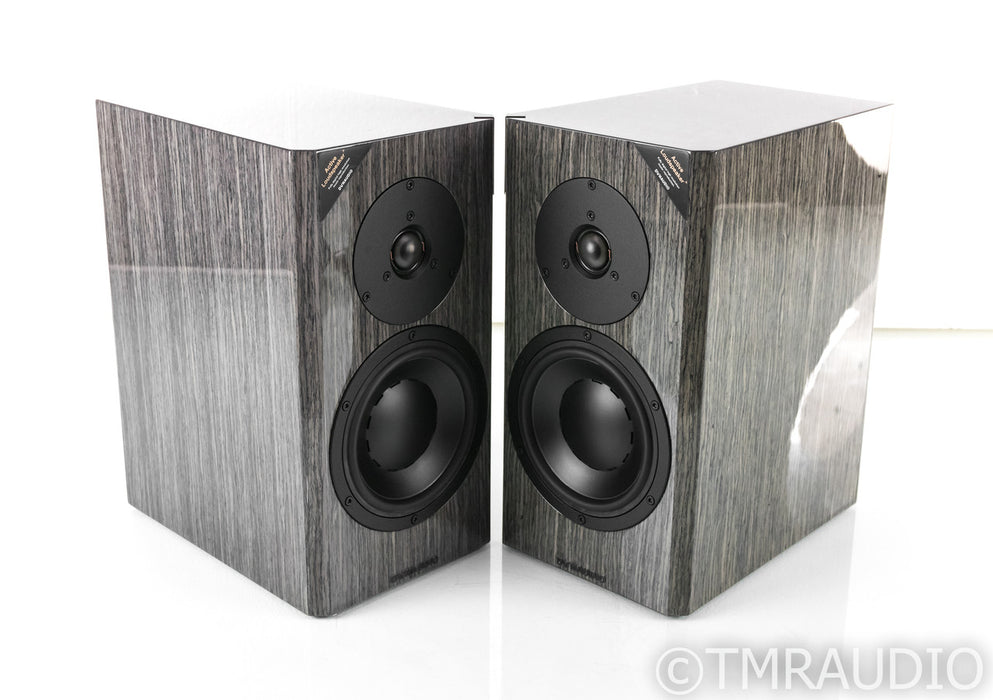 Dynaudio Focus 20 XD Powered Speakers