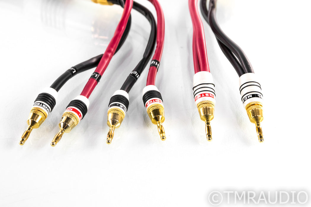 Monster Cable M2.4s Biwire Speaker Cables; 8ft Pair
