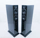 Aperion Audio Intimus 6T Floorstanding