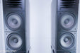 Raidho D-5.1 Floorstanding Speakers
