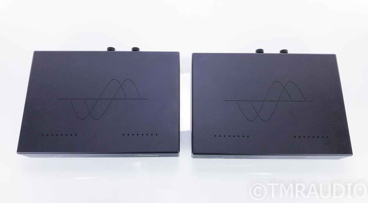 Merrill Audio Veritas Mono Power Amplifier
