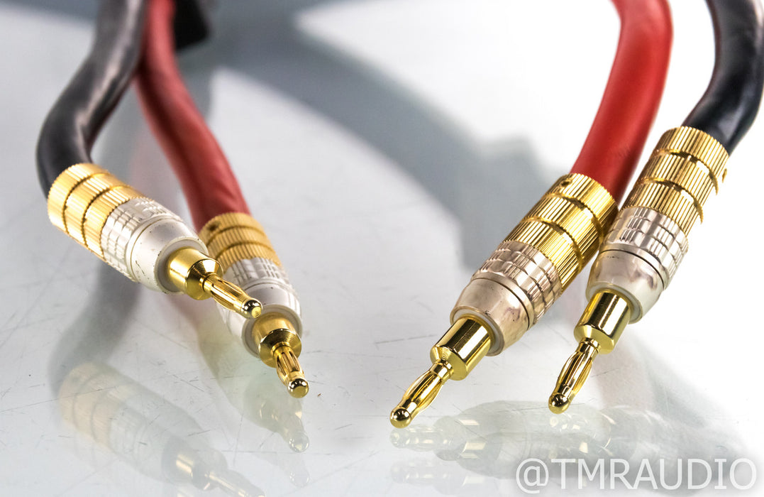PS Audio XStream Statement Speaker Cables; 3m Pair; Spade / Banana