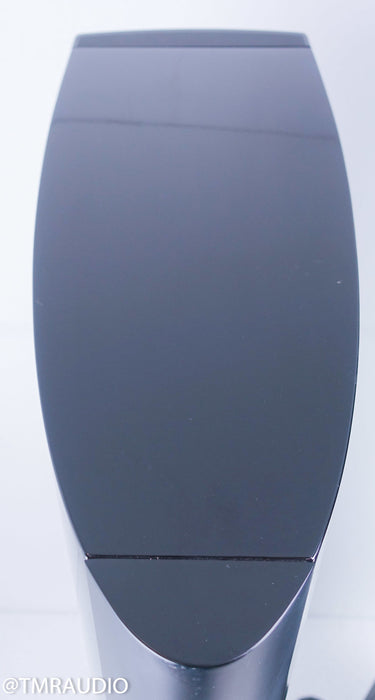 Raidho D-5.1 Floorstanding Speakers