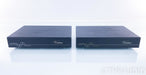 Merrill Audio Veritas Mono Power Amplifier