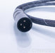 Wireworld Platinum Starlight XLR Digital Cable; 1m AES/EBU Interconnect