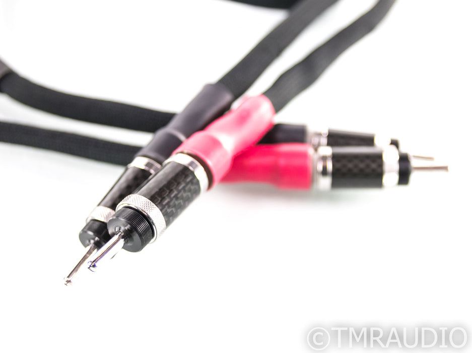 Morrow Audio 10 Year Anniversary Speaker Cable; Single; 2m