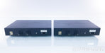 Merrill Audio Veritas Mono Power Amplifier