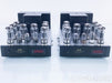 Antique Sound Lab Hurricane DT Tube Mono Power Amplifier