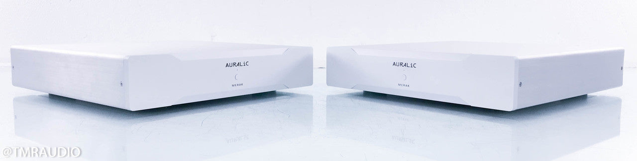 Auralic Merak Mono Power Amplifier