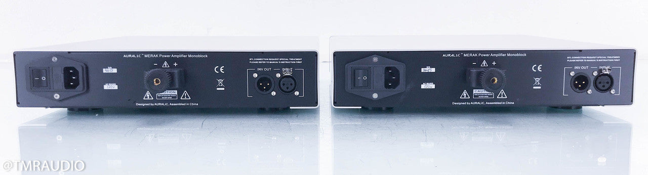 Auralic Merak Mono Power Amplifier