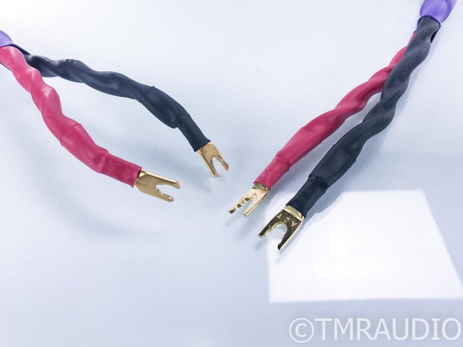 Acoustic Zen Hologram II Speaker Cables; 6ft Pair