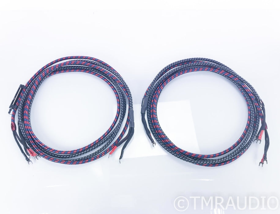 AudioQuest CV-6 Bi-Wire Speaker Cables; Type 6; 10ft Pair; 24V DBS