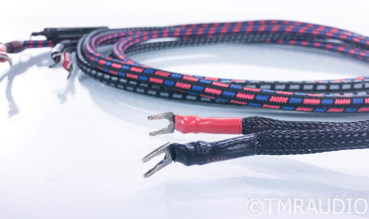 AudioQuest CV-6 Bi-Wire Speaker Cables; Type 6; 10ft Pair; 24V DBS