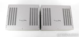 Concert Fidelity ZL120 FX Mono Power Amplifier